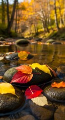 Autumn Leaves on a Streambed.