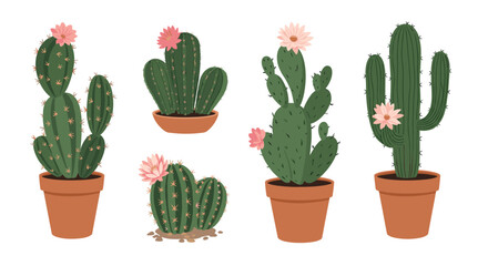 A collection of potted cactus plants with delicate pink flowers blooming on top.