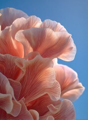 Close-up of delicate, light pink fungi against a bright blue sky