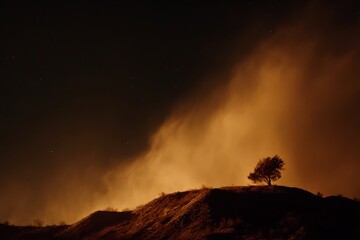 Fototapeta premium Desert night scene with a lone tree silhouette on a hill under a glowing sky