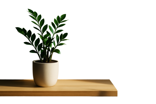 Green potted plant with shiny leaves on wooden shelf, isolated on white background, clean minimal layout for modern interior concept. Ai generative