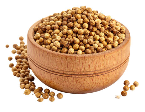 Dried Coriander Seeds in Wooden Bowl