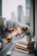 Books on Urban Windowsill