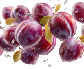 Fresh plums splashing in water nature food isolated on transparent background