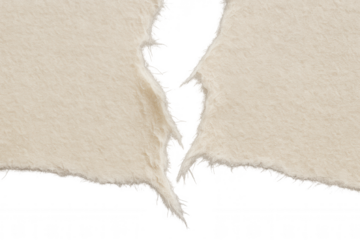 Beige torn paper split vertically with ragged edge, aged parchment texture and transparent background for design use