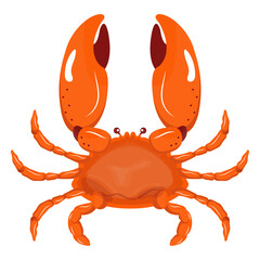 Crab Illustration