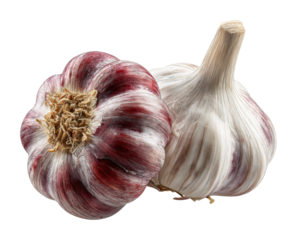 Cooking techniques with garlic kitchen culinary guide home isolated on transparent background