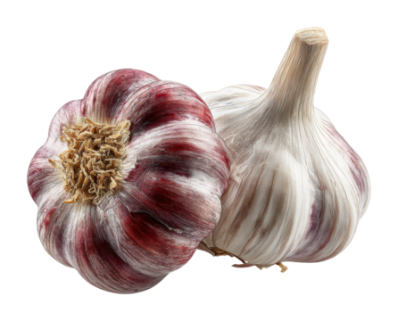 Cooking techniques with garlic kitchen culinary guide home isolated on transparent background