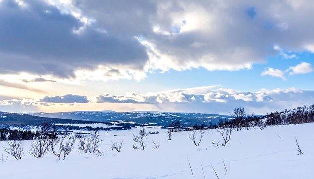 Snowy landscape with hills, sparse trees and cloudy blue sky in winter - Powered by Adobe