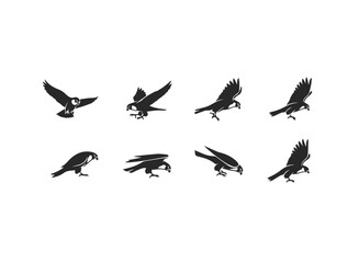 Set of Falcon Silhouettes in Flight and Perched Poses.