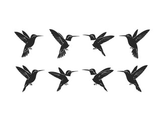 Silhouette Collection of Hummingbirds in Flight.