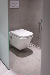 Toilet bowl inside the bathroom.