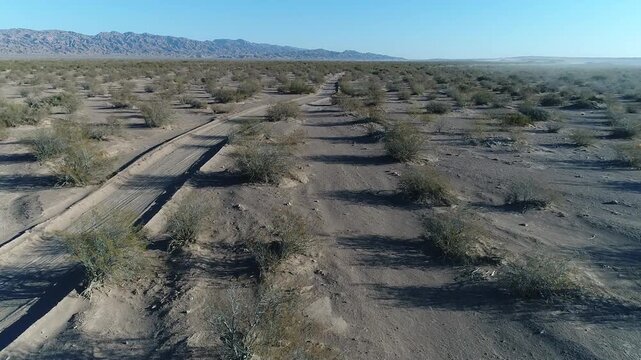 Desierto  Latino Argentino