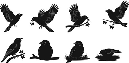 Bird Silhouette Vector Set of Flying, Perched, Singing, and Feeding Birds on Branches and Ground for Nature Illustration Use