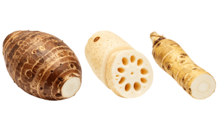 Set of 3 different vegetables isolated on white background with clipping path – fresh taro root, lotus root, and arrowroot, organic starchy vegetables for healthy diet, cooking ingredients, farm produ