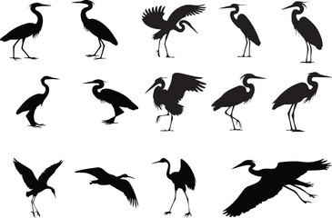 set of silhouettes of birds