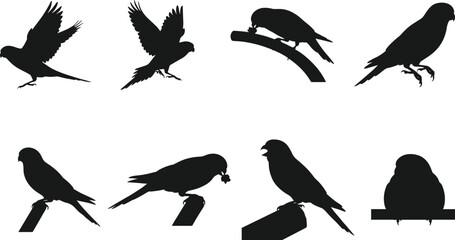 Silhouette vector set of parrots in different poses perched and flying, perfect for design, decor, logo, and tattoo art.