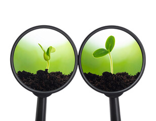 Dual Magnifying Glass and Sprout Growth Concepts, isolated on transparent background