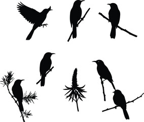 Vector illustration of tropical sunbird silhouettes perched and flying on branches with flowers, ideal for nature, wildlife, and decoration design.