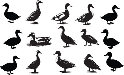 set of ducks silhouetter design template 