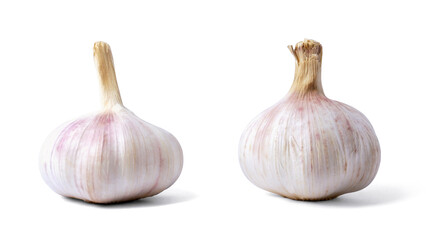 Garlic bulb isolated on white background. Selective Focus