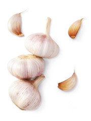 Garlic bulb isolated on white background. Selective Focus