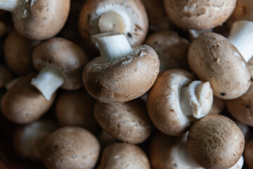 Fresh brown mushrooms stacked together in a rustic setting ready for cooking and meal preparation