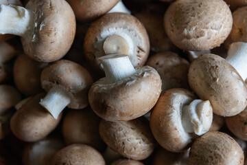 Fresh brown mushrooms gathered together for cooking or preparation in a home kitchen setting