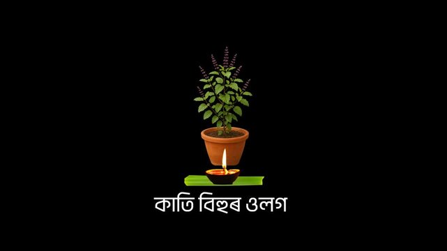 Kati Bihu Tulsi Saaki
