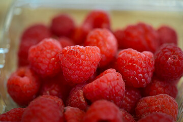 Macro shot of red raspberries showing juicy texture and natural freshness. Healthy food and nutrition concepts
