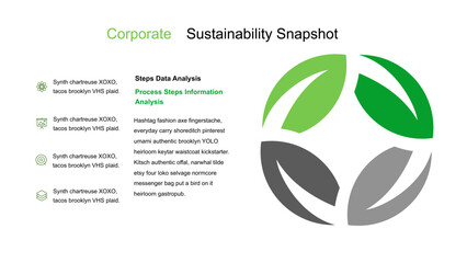 Corporate Sustainability Snapshot Data Analysis and Process Steps