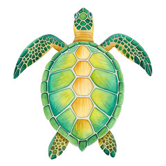 Watercolor sea turtle isolated on transparent background