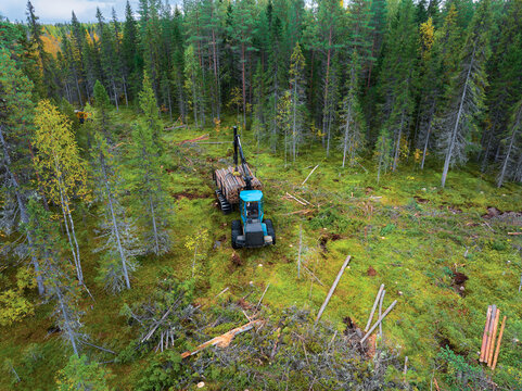 Timber harvesting in a forest area using machinery in an aerial view during autumn