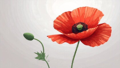 Vibrant poppy, detailed illustration