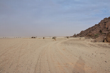 Ben Amera, monolith in Mauritania, Sahara desert, West Africa