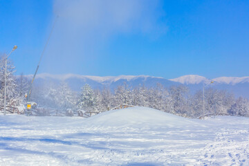 Bansko, Bulgaria winter panorama with snow forest pine trees, Rila mountain peaks panorama