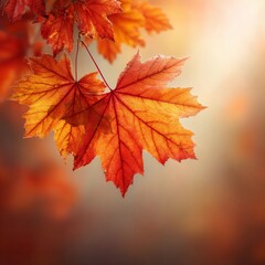 Sun-kissed leafy blanket: basking in autumn's tranquil glow. Visual identity. Brilliant colors of fall illuminated by the sun's warm embrace. High resolution. Premium quality.