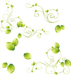 green floral background
