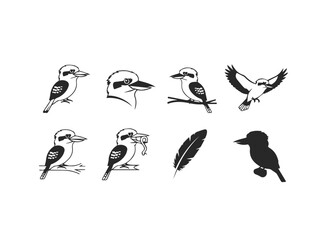 Obraz premium Kookaburra Bird Collection Vector Illustrations.