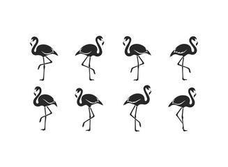 Silhouette Collection of Elegant Flamingos Standing.