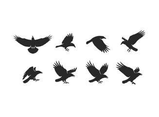 Fototapeta premium Silhouette Collection of Flying Crows in Various Poses.