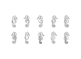 Ten Stylized Seahorse Illustrations in Black and White.