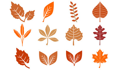 Collection of autumn leaves in orange brown tones isolated on white background