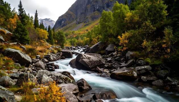 Mountain stream autumn landscape