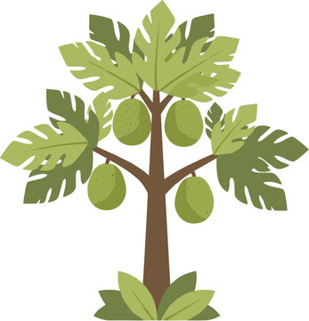 Flat Style Detailed Breadfruit Tree with Green Fruits and Leaves Illustration