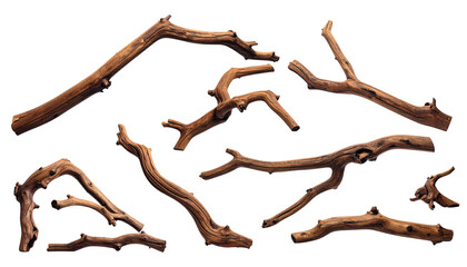 Isolated arrangement of various wooden branches of varying sizes and shapes against a stark black background
