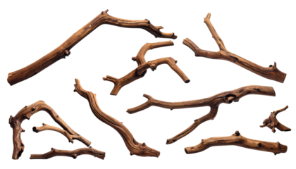 Isolated arrangement of various wooden branches of varying sizes and shapes against a stark black background