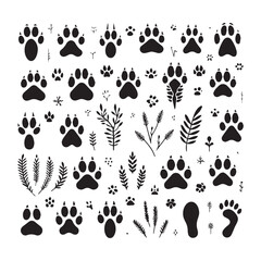 Fototapeta premium Assortment of Animal Paw Prints and Botanical Elements Scattered on White Background footprint