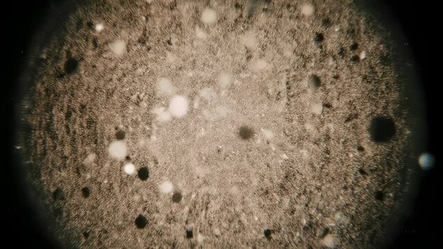 Microscopic view of an organic surface with blurred shapes, textures, and color variance