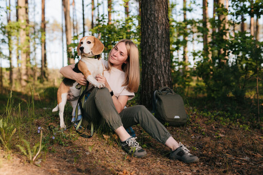 Pet owner with beagle dog resting in forest during hiking trip